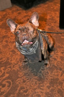 internext18_dayone_152